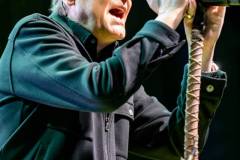 Wilki - foto: Sławomir Natoński