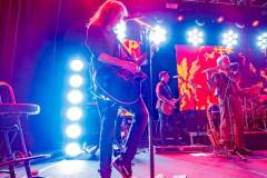 Wilki - foto: Sławomir Natoński