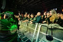 Wilki - foto: Sławomir Natoński