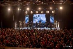 Wilki - foto: Sławomir Natoński