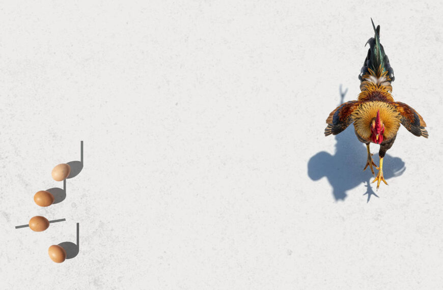 Nowohuckie Centrum Kultury – TU BYŁ GRZEGORZ Z CIECHOWA